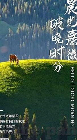 报足球比分-从比分背后读懂足球，那些数字背后的激情与策略
