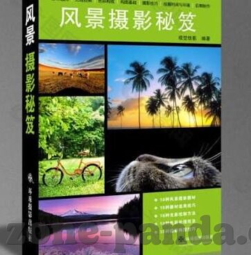 乒乓球团体世界杯冠军奖金-乒乓球团体世界杯冠军奖金，荣耀背后的数字